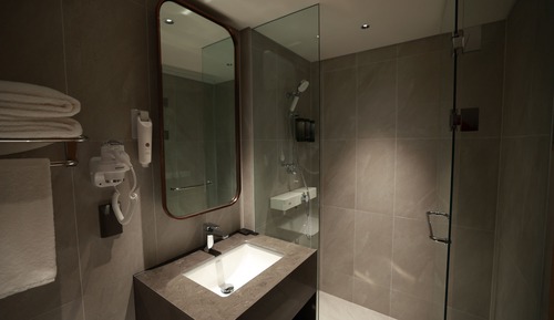 Habitación estándar doble (12 Hours, transit passenger only)
