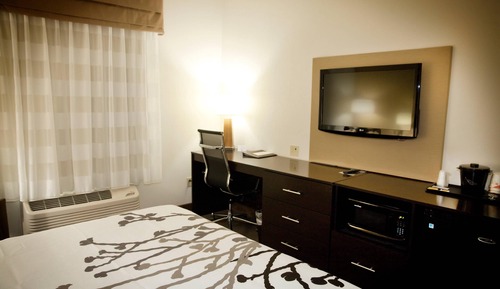 Habitación estándar, 1 cama de matrimonio grande, no fumadores