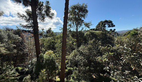Apartamento panorámico (Para 3 pessoas)