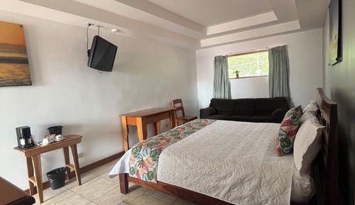 Standard Room King or Queen Bed