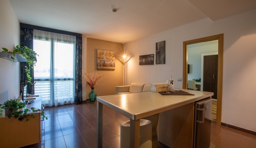 Apartamento superior, 1 habitación, bañera de hidromasaje