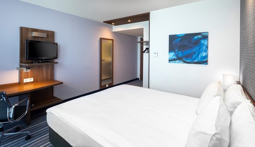 Habitación estándar, 1 cama doble (Delftsestraat, High Floor)
