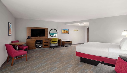 Habitación, 1 cama de matrimonio grande con sofá cama, frigorífico y microondas, con vistas