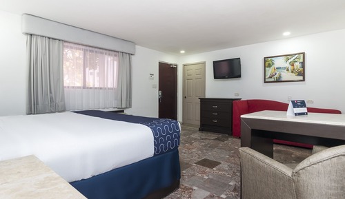 Classic Single Room