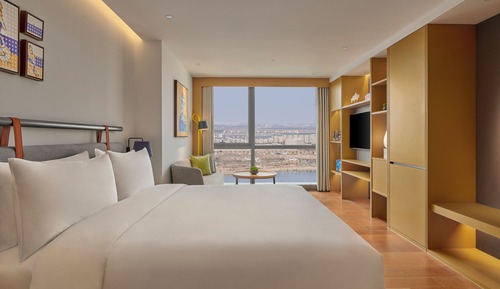 Habitación estándar, 1 cama de matrimonio grande (Habitat)