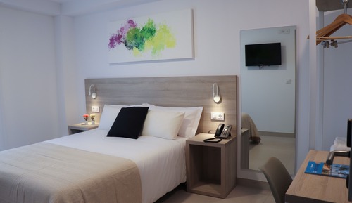 Habitación Deluxe con 1 cama doble o 2 individuales