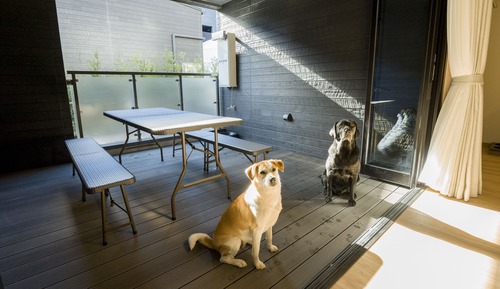 Habitación, no fumadores, No se admiten mascotas (5 persons)