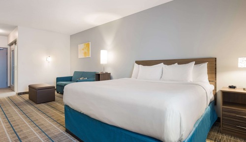 Suite, 1 cama de matrimonio grande con sofá cama, no fumadores, cocina básica (Pet Friendly)