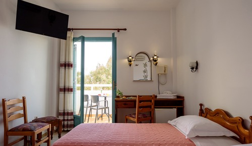 Habitación clásica con 1 cama doble o 2 individuales