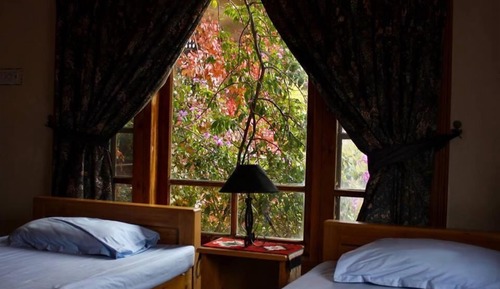 Habitación estándar con 1 cama doble o 2 individuales