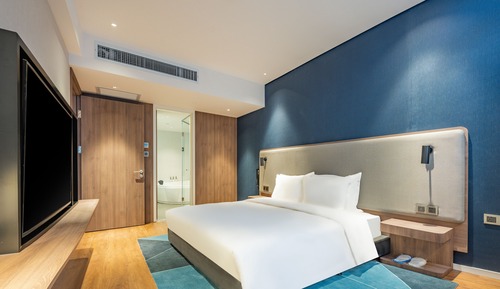 Habitación estándar, 1 cama de matrimonio grande