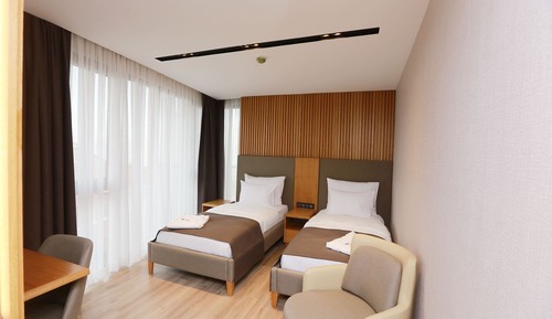 Habitación estándar con 2 camas individuales, vistas a la montaña