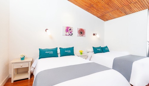 Habitación con 2 camas individuales