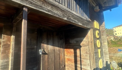 Casa en un árbol básica