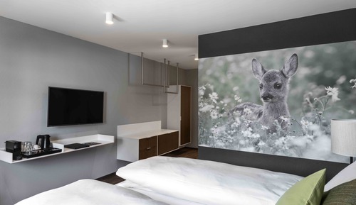 Habitación clásica