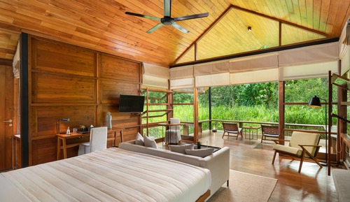Habitación Premier