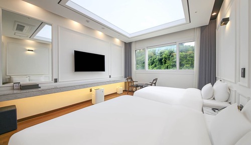 Superior Twin Room View (Mountain View)