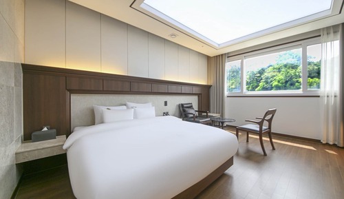 Superior Double Room (Mountain View)