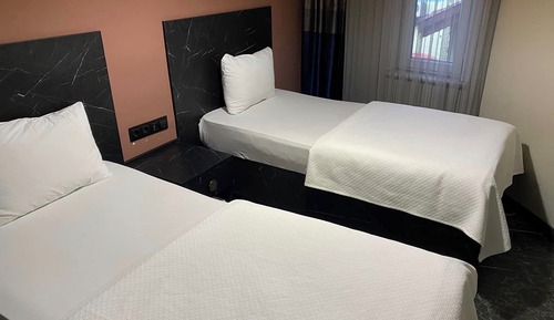 Habitación básica con 2 camas individuales