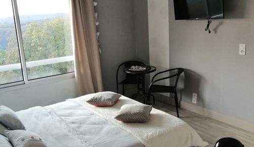 Habitación panorámica doble