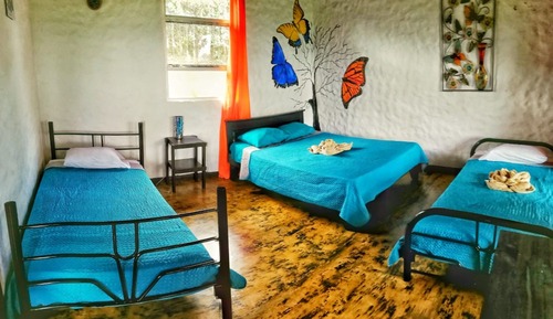 Habitación cuádruple familiar, 1 habitación