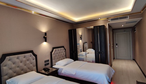 Habitación Deluxe con 2 camas individuales