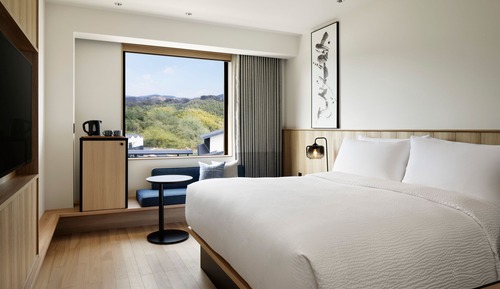 Habitación estándar, 1 cama de matrimonio grande, no fumadores