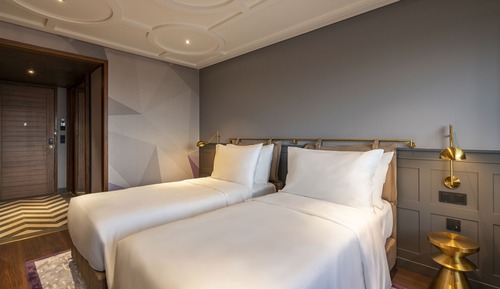 Habitación Deluxe con 2 camas individuales (Premium)