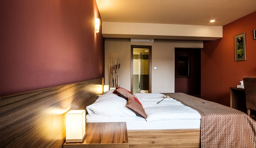 Habitación clásica con 1 cama doble o 2 individuales