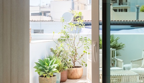 Suite, terraza (Casa Privada)