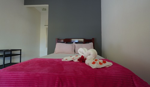 Habitación superior con 1 cama doble o 2 individuales