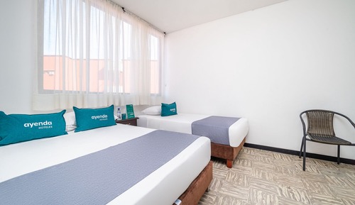 Standard Twin Room