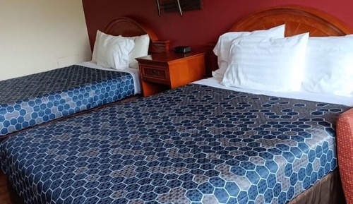 Habitación Confort