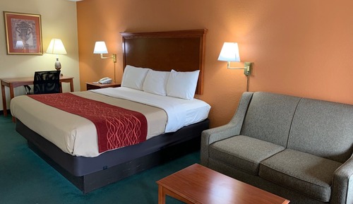 Habitación individual ejecutiva