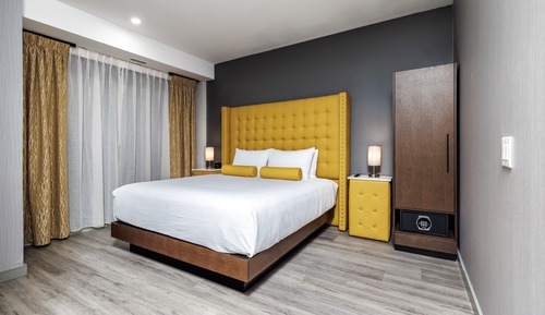 Suite, 1 cama de matrimonio grande con sofá cama (Roll-In Shower)