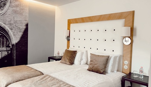 Habitación Deluxe con 2 camas individuales