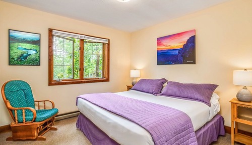 Cabaña Premium, 1 cama de matrimonio grande con sofá cama, bañera de hidromasaje