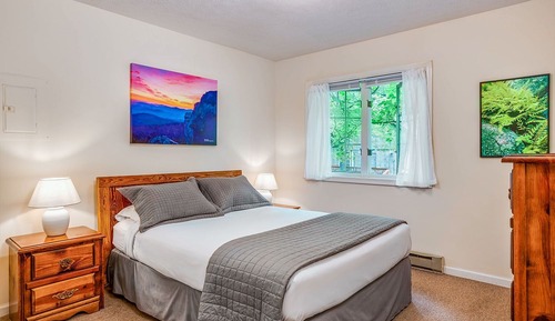 Cabaña Premium, 1 cama de matrimonio grande con sofá cama, bañera de hidromasaje