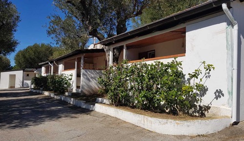 Bungalow estándar
