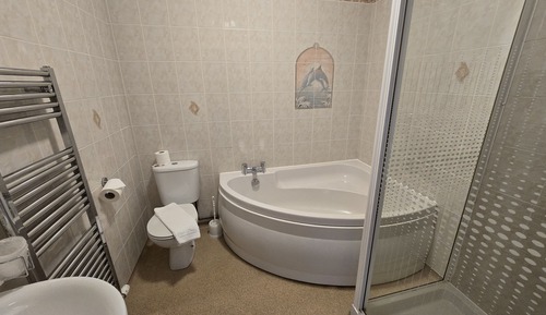 Habitación Deluxe doble