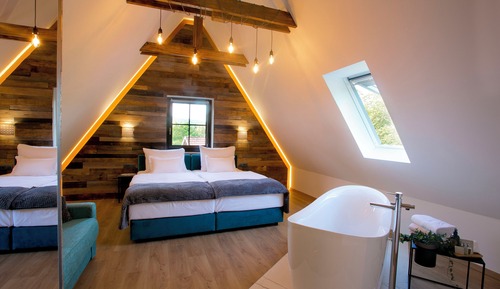 Habitación de lujo doble