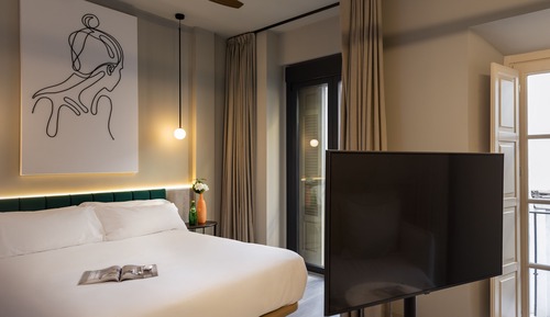 Apartamento clásico, 1 cama de matrimonio con sofá cama