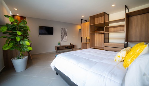 Loft ejecutivo, 1 habitación, accesible para personas con discapacidad, vistas a la ciudad