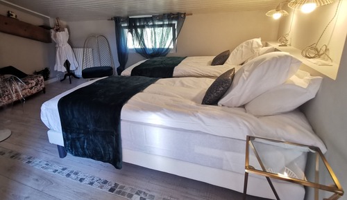 Habitación Deluxe con 1 cama doble o 2 individuales