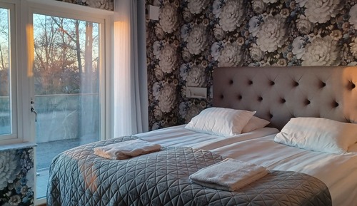 Suite estudio estándar, 1 cama de matrimonio grande con sofá cama