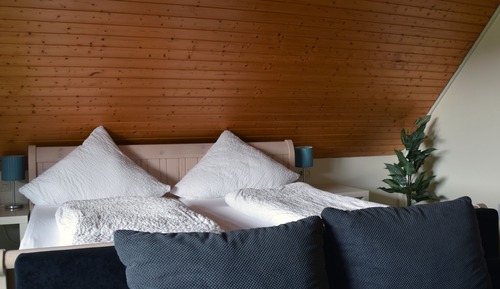 Habitación doble, balcón, vistas al lago