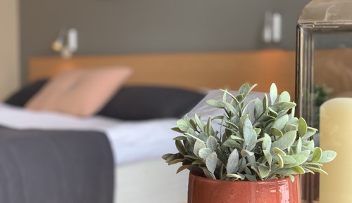 Habitación clásica con 1 cama doble o 2 individuales
