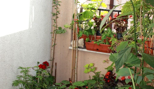 Apartamento City