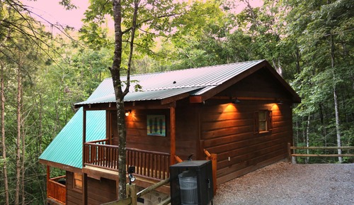 Cabaña, 1 habitación
