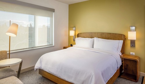 Habitación estándar, 1 cama de matrimonio grande, no fumadores (Hearing Accessible)